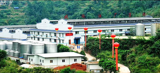 企業(yè)概況